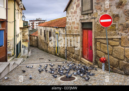 Vila Nova de Gaia, Portugal alley scene with pigeons. Stock Photo