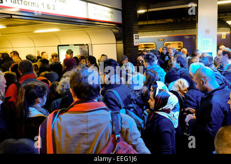 Gatwick Airport, London, UK. 17th Jan, 2015. Southern Rail chaos. The troubled Southern Rail line was thrown into more chaos today as a signaling fault at Three Bridges occurred at the same time as engineering works were taking place on the line. Travelers trying to get from London to the south coast were asked to use at least 3 trains before getting a rail replacement bus service. Pictures show crowds at Gatwick Airport trying to find a way to continue their journey. Credit:  JEP News/Alamy Live News Stock Photo