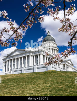 Cherry trees ring the Utah State capitol in Salt Lake City. Stock Photo