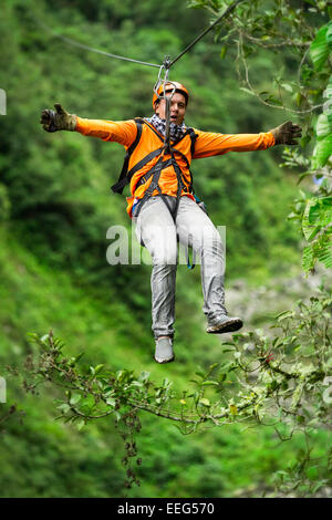 A man is ziplining through a dense, green forest. He is wearing an orange long-sleeve shirt, gray pants, a helmet, gloves, and a safety harness attached to the zipline cable. His arms are Stock Photo