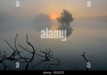 Smaller of the two Pen Ponds at sunrise, Richmond Park, London, UK Stock Photo