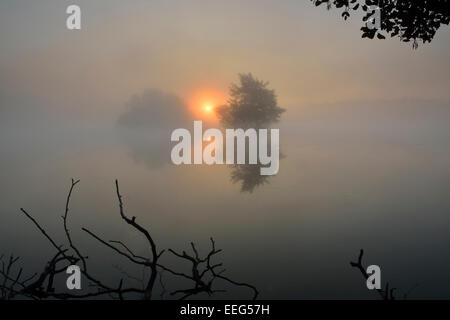 Smaller of the two Pen Ponds at sunrise, Richmond Park, London, UK Stock Photo