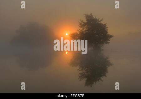 Smaller of the two Pen Ponds at sunrise, Richmond Park, London, UK Stock Photo