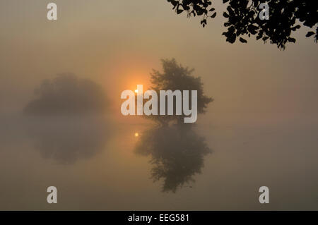 Smaller of the two Pen Ponds at sunrise, Richmond Park, London, UK Stock Photo