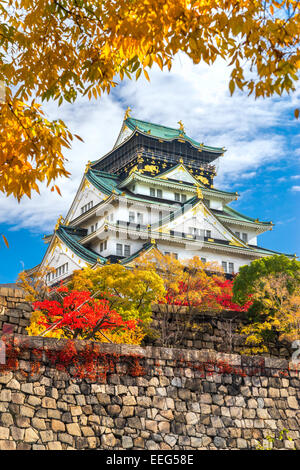 Osaka Castle in Osaka with autumn leaves. Japan. Stock Photo