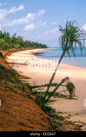 Putjamirra Beach on Melville Island, Tiwi Islands, Northern Territory, Australia Stock Photo