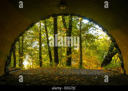 New York, NY 18 Oct 2006 - Autumn in Fort Washington Park Stock Photo