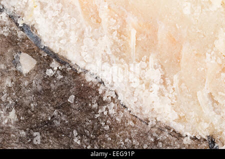 Full frame detail take of  salt preserved cod Stock Photo