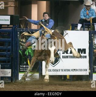 Tanner Aus, of Granite Falls, holds on during the bareback horse riding ...