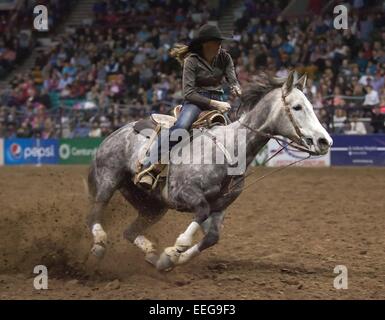 Denver, Colorado, USA. 17th Jan, 2015. KALI PARKER of Wendell, ID. readies to round her last Barrel during the PRCA Barrel Race event at the National Western Stock Show Saturday afternoon. Credit:  Hector Acevedo/ZUMA Wire/Alamy Live News Stock Photo