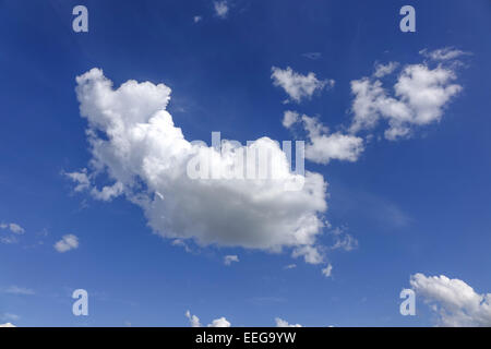 Cumuluswolken am blauen Himmel, Cumulus clouds against a blue sky, .blue and white, Cirrocumulus, cloud, formations, formation, Stock Photo