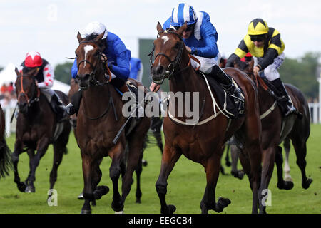 Royal Ascot, Muteela (No. 11) with Paul Hanagan up wins the Sandringham Handicap Stock Photo