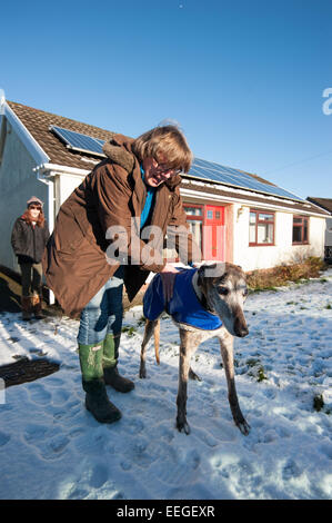 Tredegar, South Wales, UK. 18th January 2015. A couple of friends take Brian, a 14 year old greyhound for a walk in the snow. The first widespread snow in the UK this winter is still lying on the ground on the higher ground in Wales. Photo: Andrew Walmsley/Alamy Live News Stock Photo