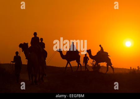 India, Rajasthan, Pushkar, tourists taking desert sunset ride on camels Stock Photo