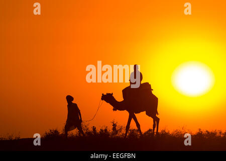 India, Rajasthan, Pushkar, tourists taking desert sunset ride on camels Stock Photo