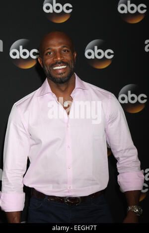 Disney ABC TCA 2014 Summer Press Tour - Arrivals  Featuring: Billy Brown Where: Beverly Hills, California, United States When: 15 Jul 2014 Stock Photo