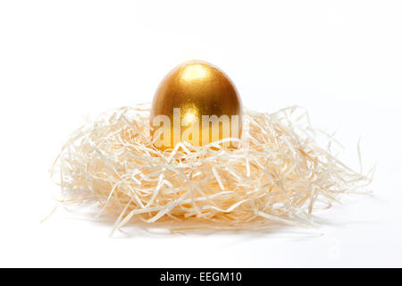 Golden egg in nest on a white background as a concept of unique Stock Photo