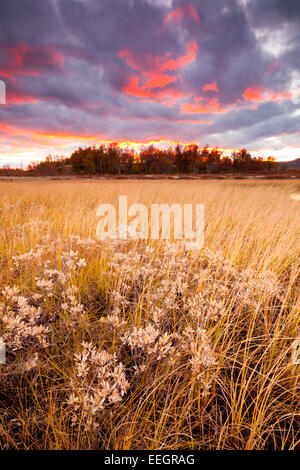 Colorful autumn evening at Fokstumyra nature reserve in Dovre kommune, Oppland fylke, Norway. Stock Photo
