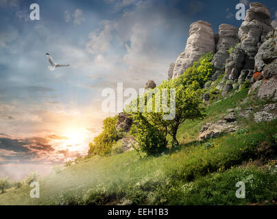 Big bird over trees on the mountain Stock Photo