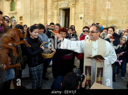 Valletta, Malta. 18th Jan, 2015. A blessing of the animals ceremony outside the Grand Master Pinto Chapel on the Waterfront at Valletta, Malta. Priest Alfred Vella carried out the blessings. 18th January, 2015  Picture: Geoff Moore/DMS Credit:  Dorset Media Service/Alamy Live News Stock Photo