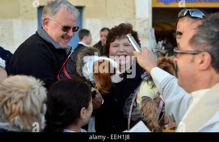 Valletta, Malta. 18th Jan, 2015. A blessing of the animals ceremony outside the Grand Master Pinto Chapel on the Waterfront at Valletta, Malta. Priest Alfred Vella carried out the blessings. 18th January, 2015  Picture: Geoff Moore/DMS Credit:  Dorset Media Service/Alamy Live News Stock Photo