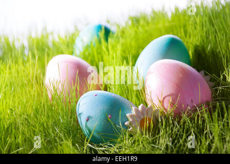 Many Colorful Easter Eggs On Sunny Green Gras For Easter Or Seasons Greetings Pink And Blue Eggs With Marguerite Blossom Stock Photo