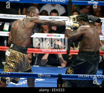 Las Vegas NV, USA. 17th Jan, 2015. (in gld trunks) Deontae Wilder goes 12 rounds with Bermane Stiverne Saturday at the MGM Grand Hotel. Deontae Wilder took the win by unanimous decision to bring back the WBC Heavyweight championship title to the USA. Photo by Gene Blevins/LA Daily News/ZumaPress © Gene Blevins/ZUMA Wire/Alamy Live News Stock Photo
