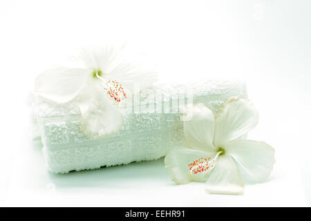 White Hibiscus flower with towel in spa theme, isolated on a white background Stock Photo