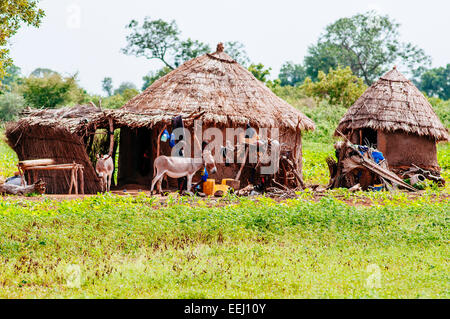 Traditional adobe and thatched roof Fulani people´s huts, Mali. Stock Photo