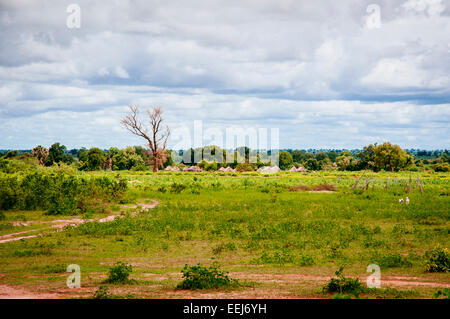 Traditional roof thatched and mud brick huts village in green savannah, Senegal. Stock Photo