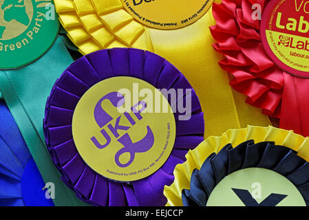 Close up of UK political party election rosettes. General Election concept Stock Photo