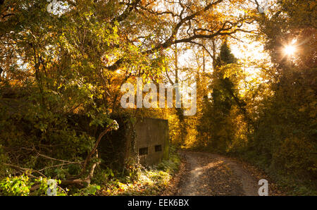 Country lane with pillbox in Mendham, Suffolk, UK Stock Photo