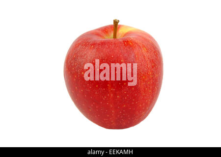 Front view of Red Royal Gala apple isolated on white Stock Photo