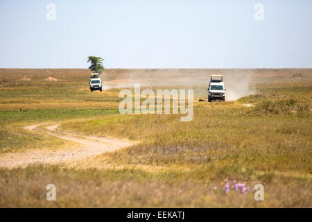 Safari tourists on game drive in Serengeti Stock Photo