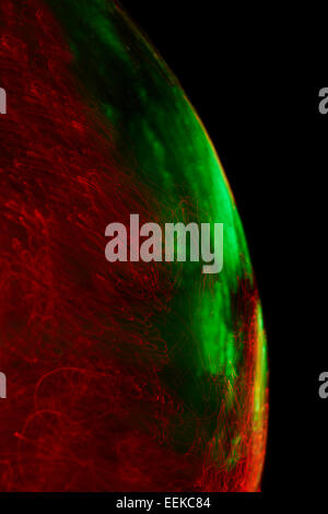 Abstract Image Representing Planet Earth Stock Photo