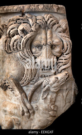 Fragment of sarcophagus with lion and antelope III Cent DC Roman Rome Capitoline Museum Italy Italian Stock Photo