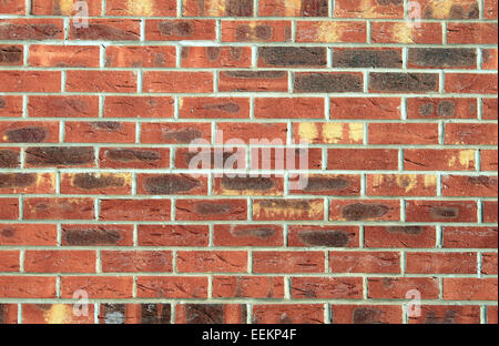 Textured surface of a brick wall background. Stock Photo