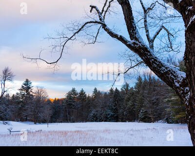 Rural meadow in snowy winter landscape scene in the country. Stock Photo