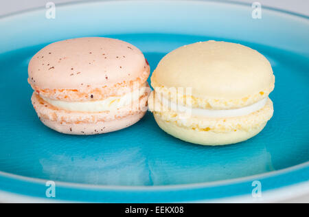 A plate of colourful French macarons from the Duchess Bake Shop in Edmonton, Alberta, Canada. Stock Photo