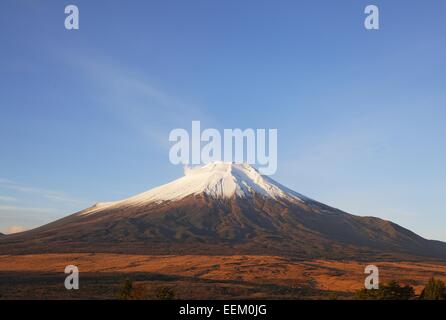 Mt. Fuji in morning light Stock Photo