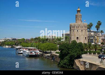 Torre del Oro on the waterfront of the Rio Guadalquivir, Seville, Andalucía, Spain Stock Photo