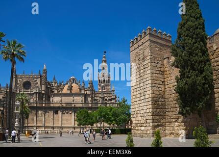 Seville Cathedral and Giralda and Alcázar of Seville, Barrio Santa Cruz, Seville, Andalucía, Spain Stock Photo