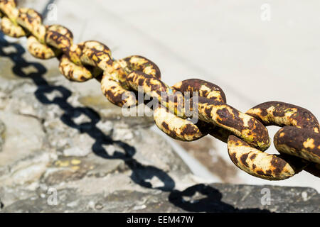 Rusty metal chain with torus shape links Stock Photo