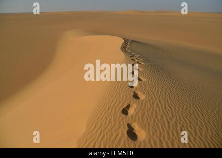 Footprints on a dune in the Nubian Desert in Dongola, Northern, Nubia, Sudan Stock Photo