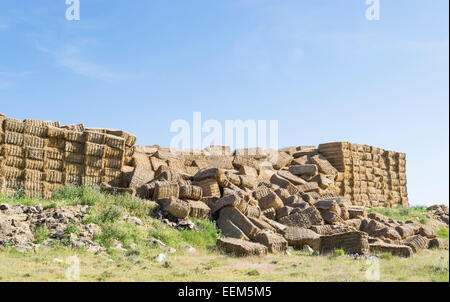 Huge stacks of straw bales gathered from the field which collapsed under their own weight Stock Photo