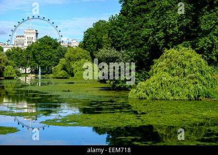 UK, England, London, St James park is oldest Royal park Stock Photo