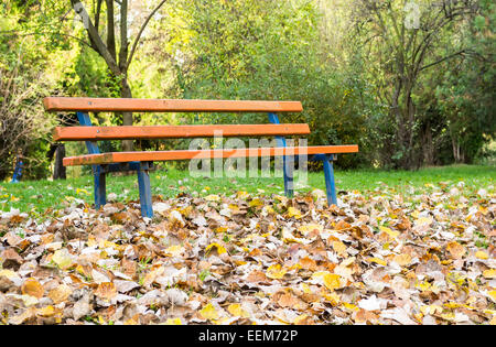 Bench in a park with layer of dead leaves in front, scenery specific to autumn season Stock Photo