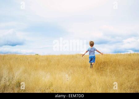 Rear view of a boy running through a wheat field Stock Photo