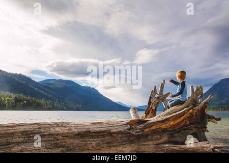 Boy sitting on fallen tree pointing, USA Stock Photo