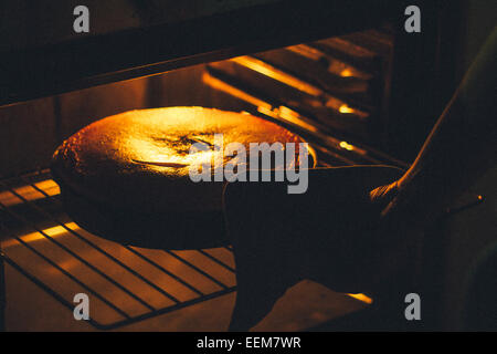 Close-up of a woman taking a cake out of the oven Stock Photo